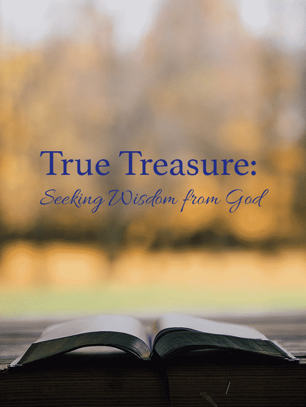 True Treasure open bible image